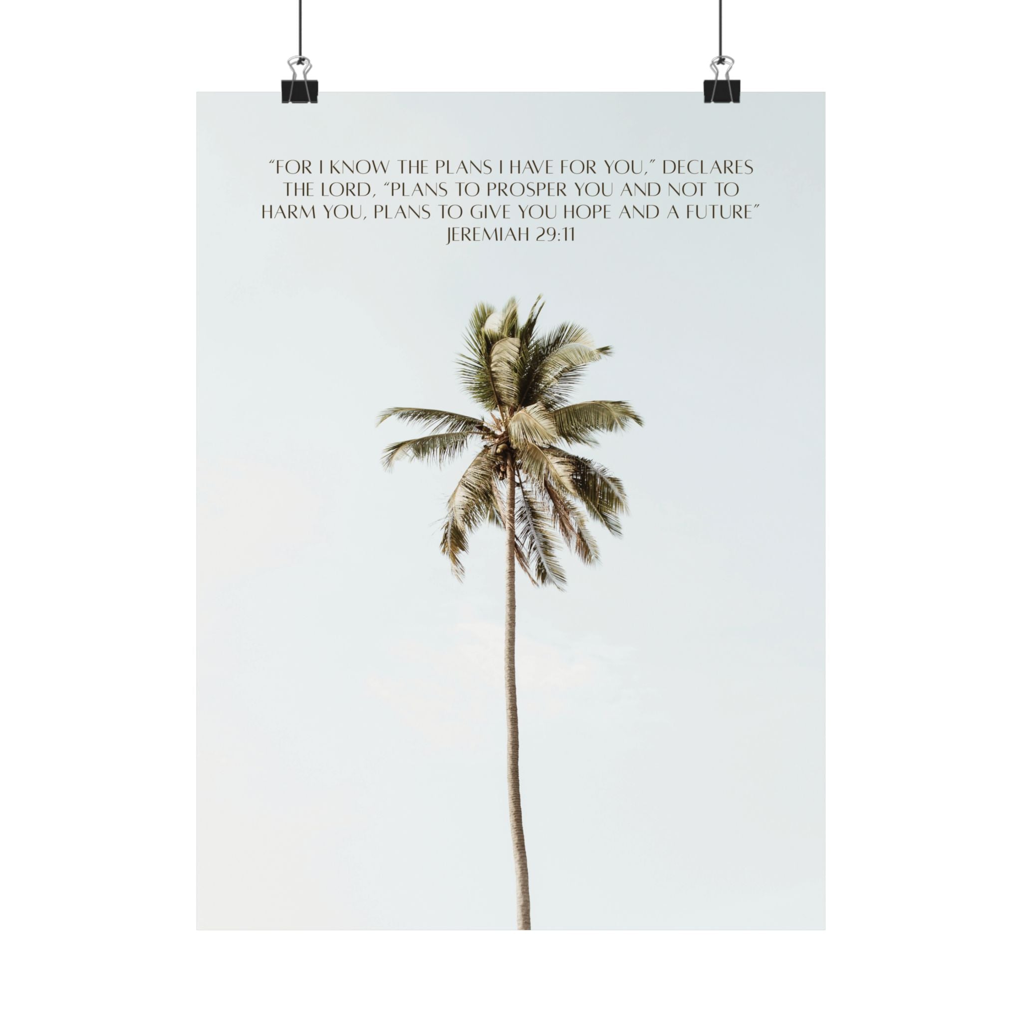 Jeremiah 29:11 Art Print