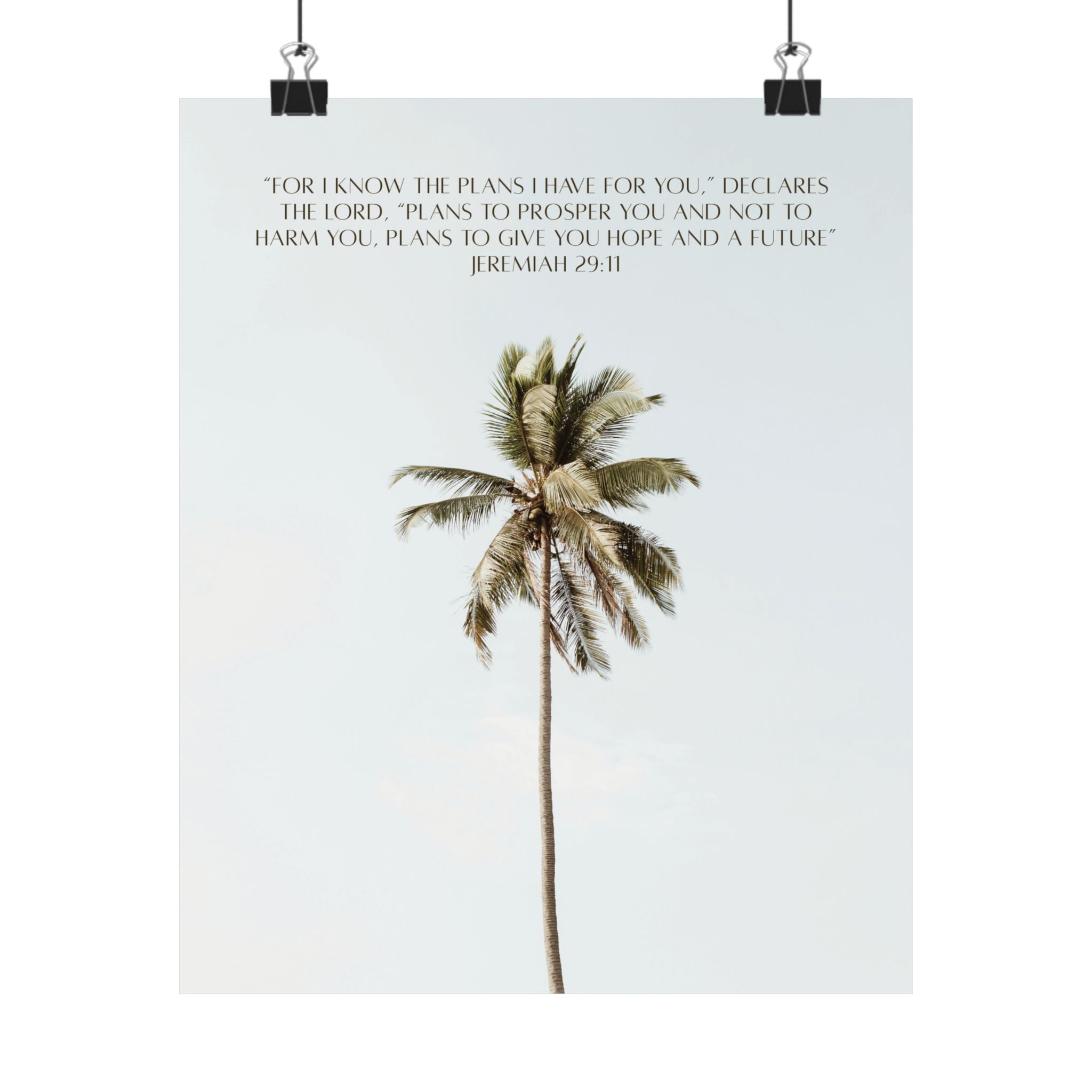 Jeremiah 29:11 Art Print