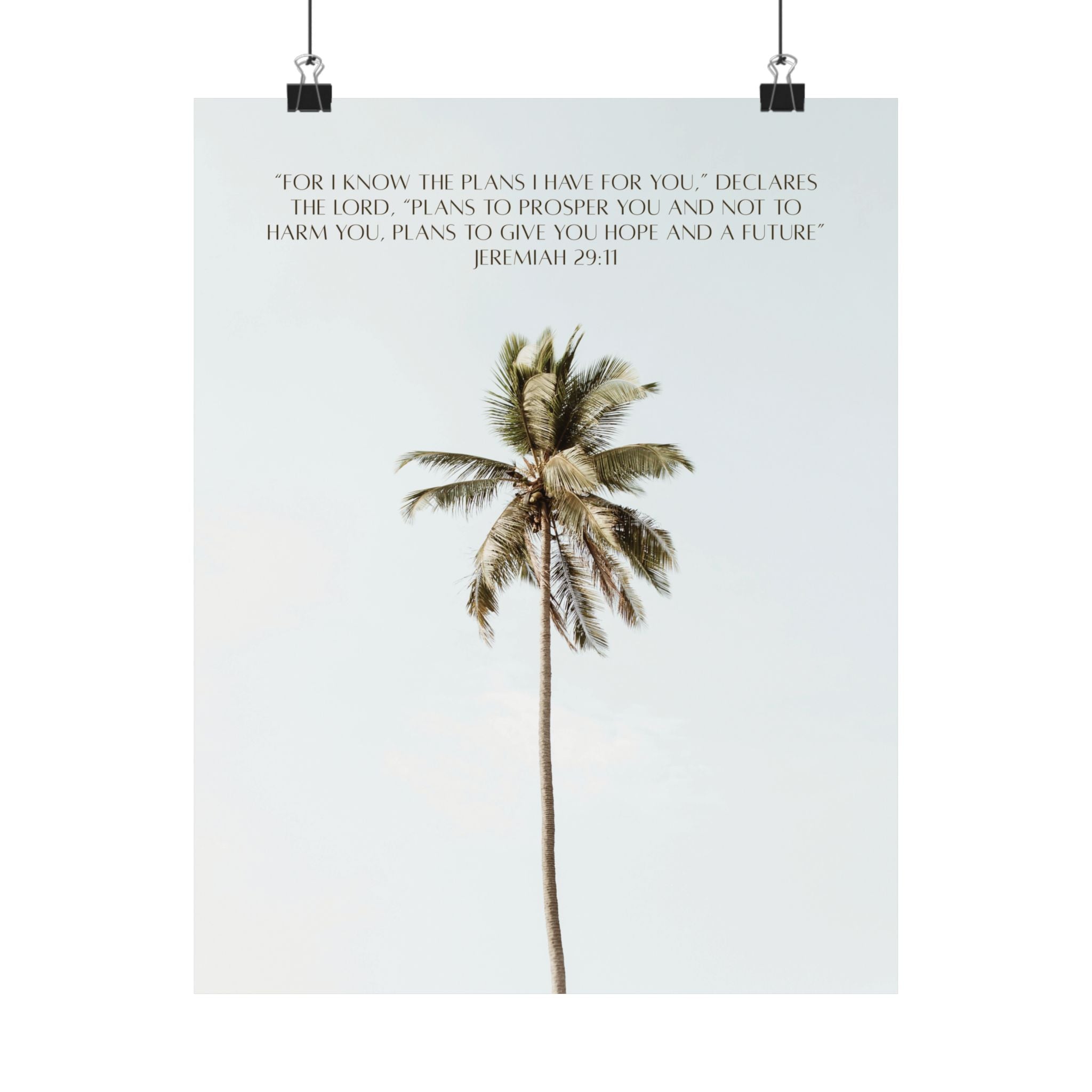 Jeremiah 29:11 Art Print