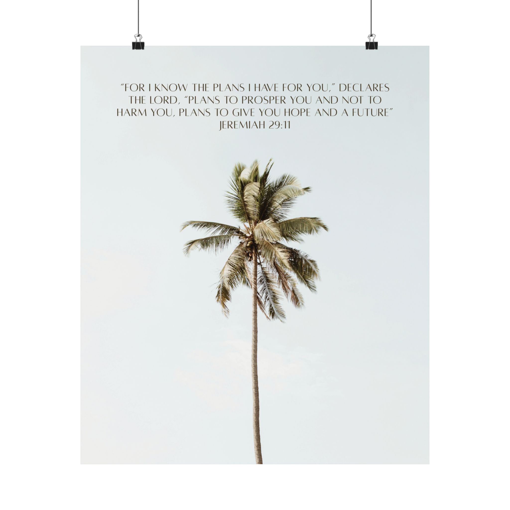 Jeremiah 29:11 Art Print