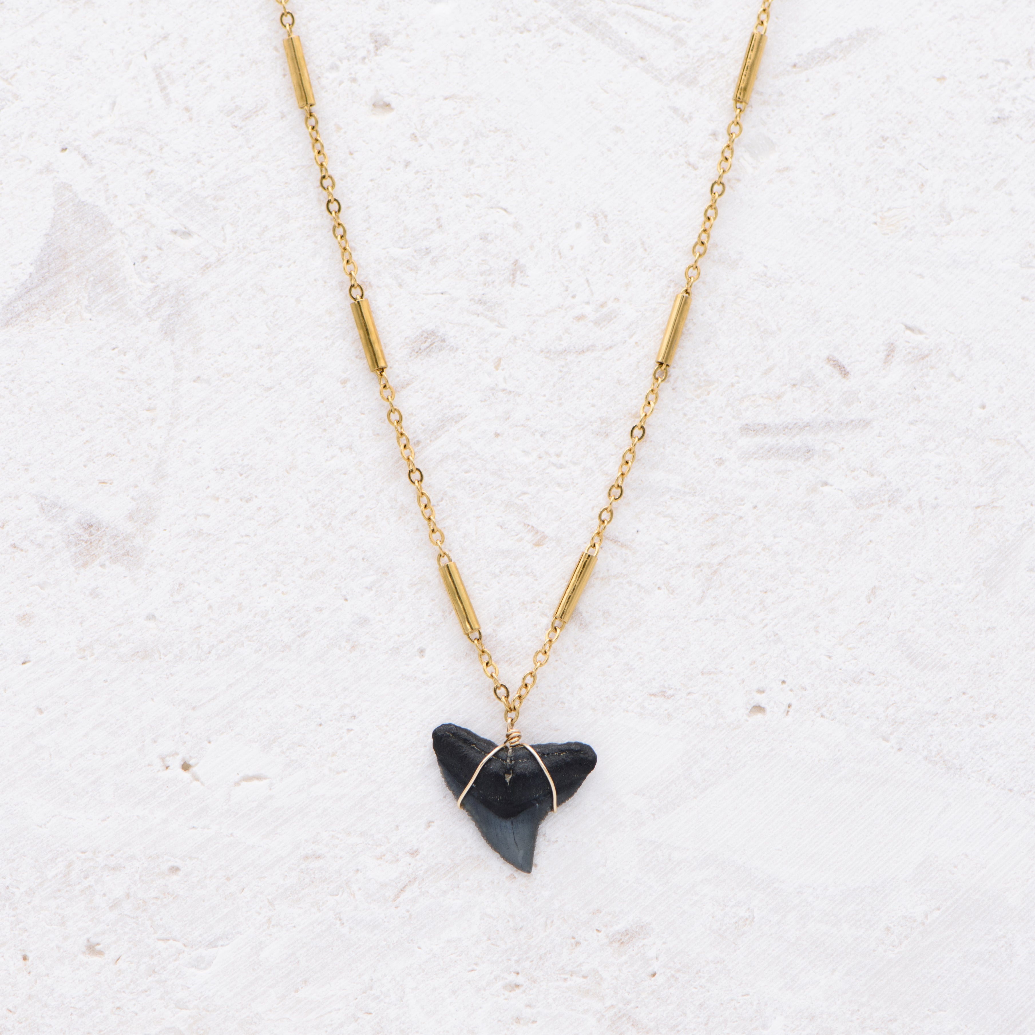 Shark Tooth Surging Sea Necklace