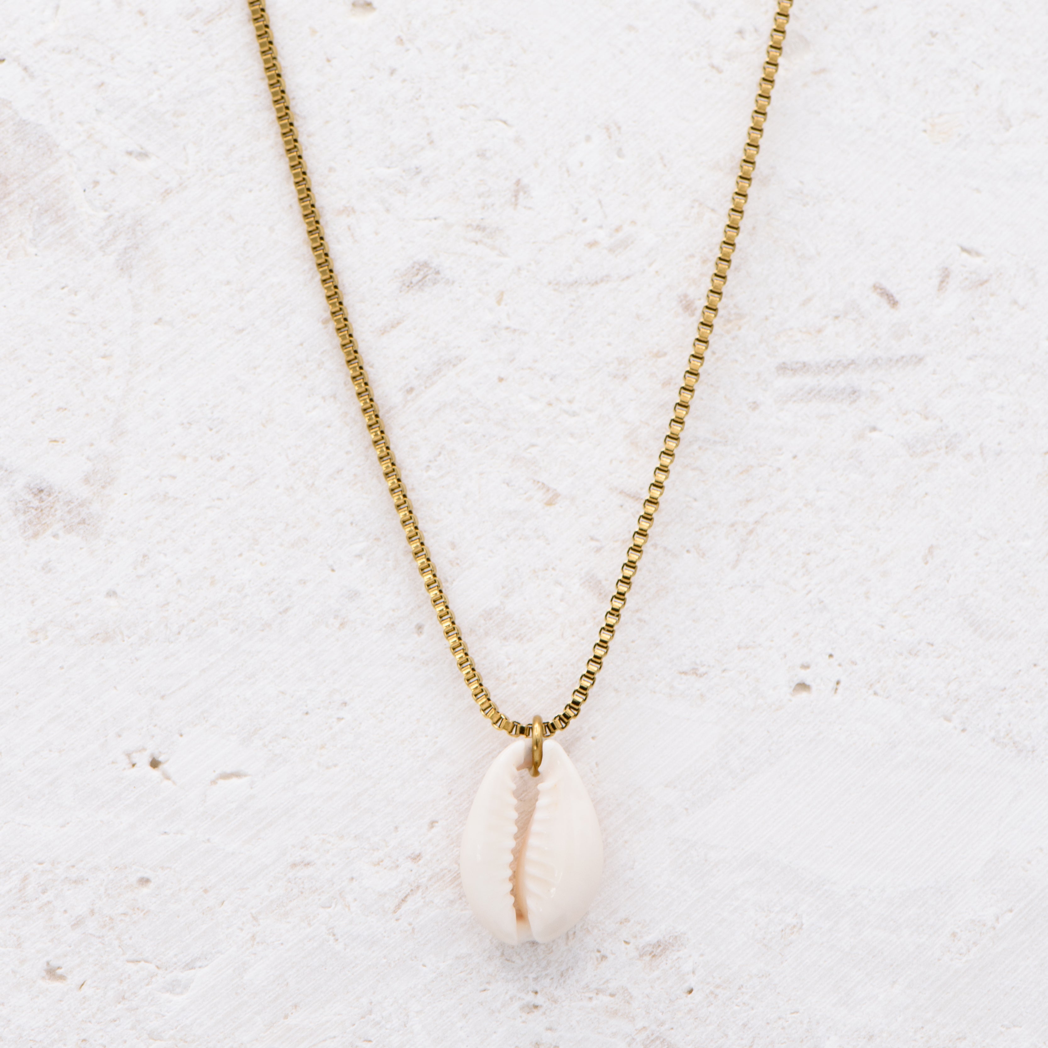 Cowrie Shell Micah Necklace