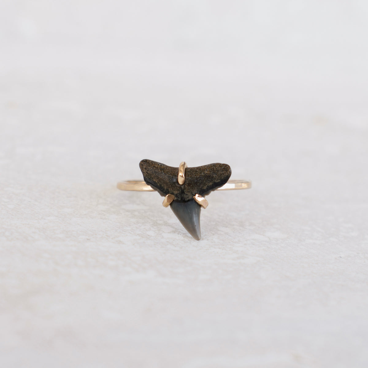 Mini Shark Ring