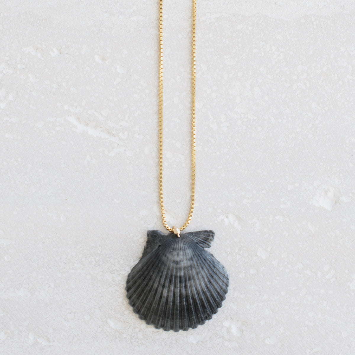 Moonrise Shell Necklace