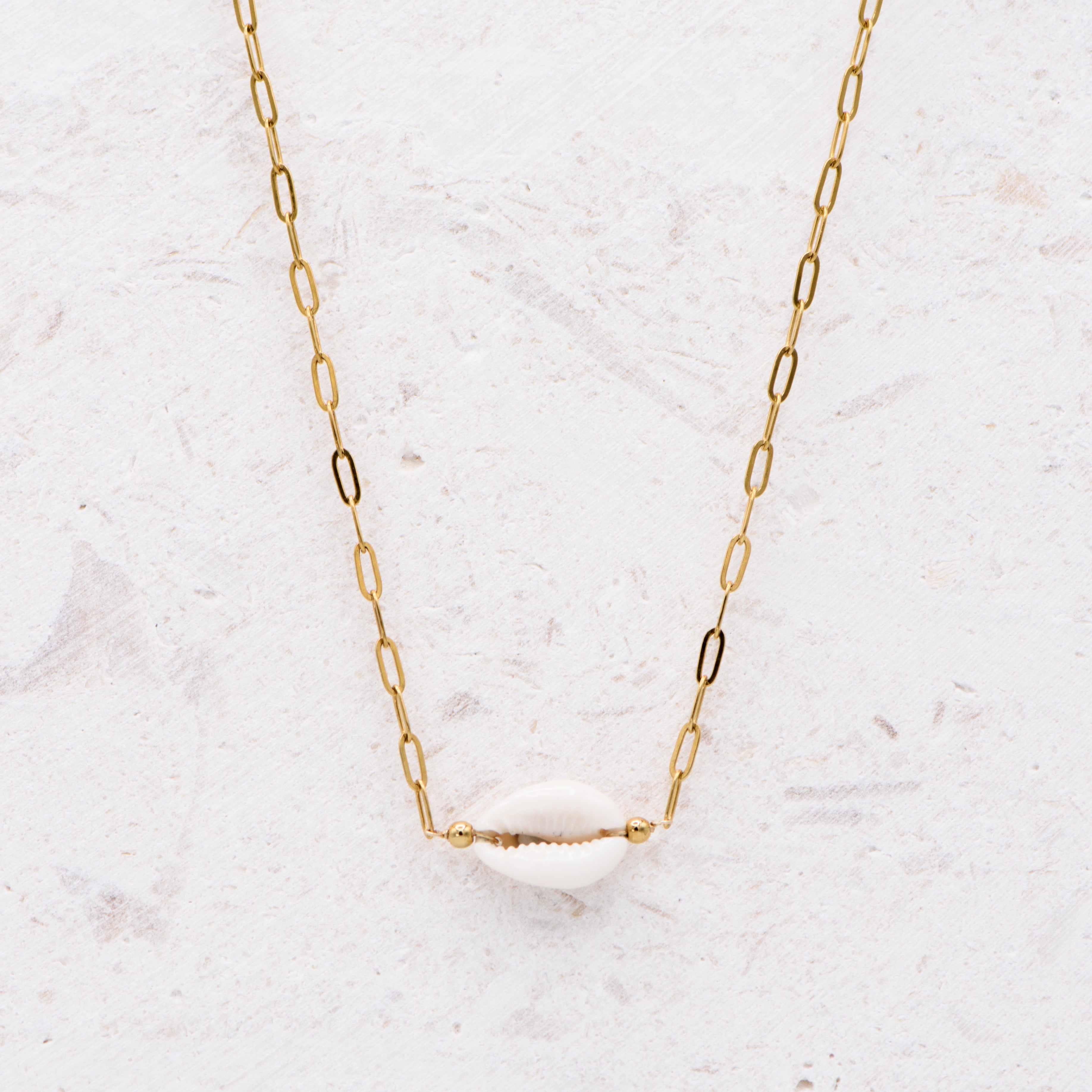 Cowrie Shell 139 Choker