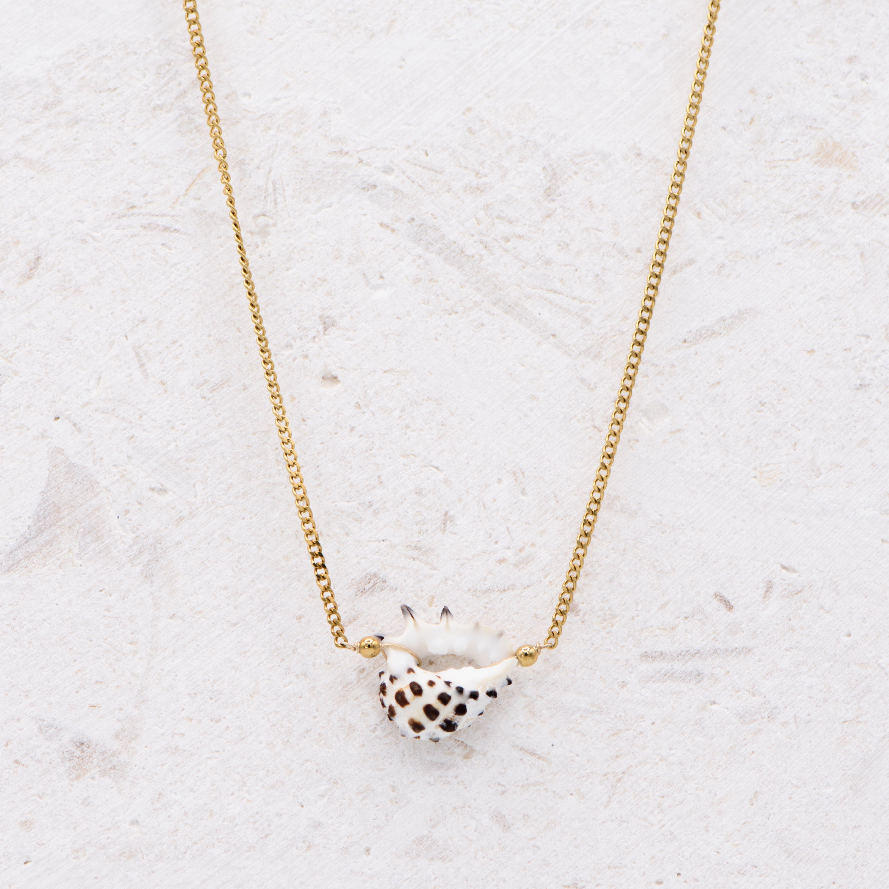 Drupe Shell 95 Choker