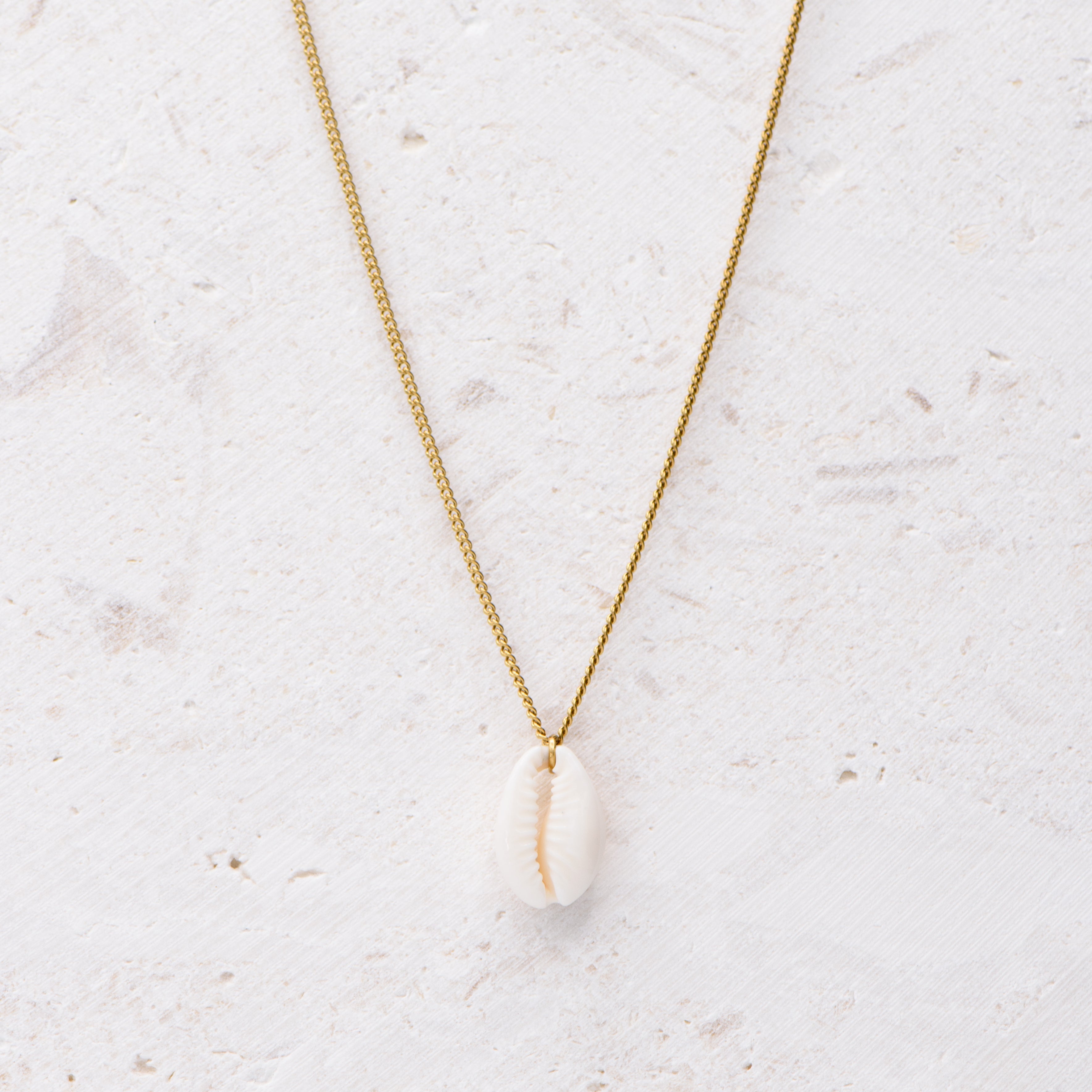 Cowrie Shell 107 Necklace