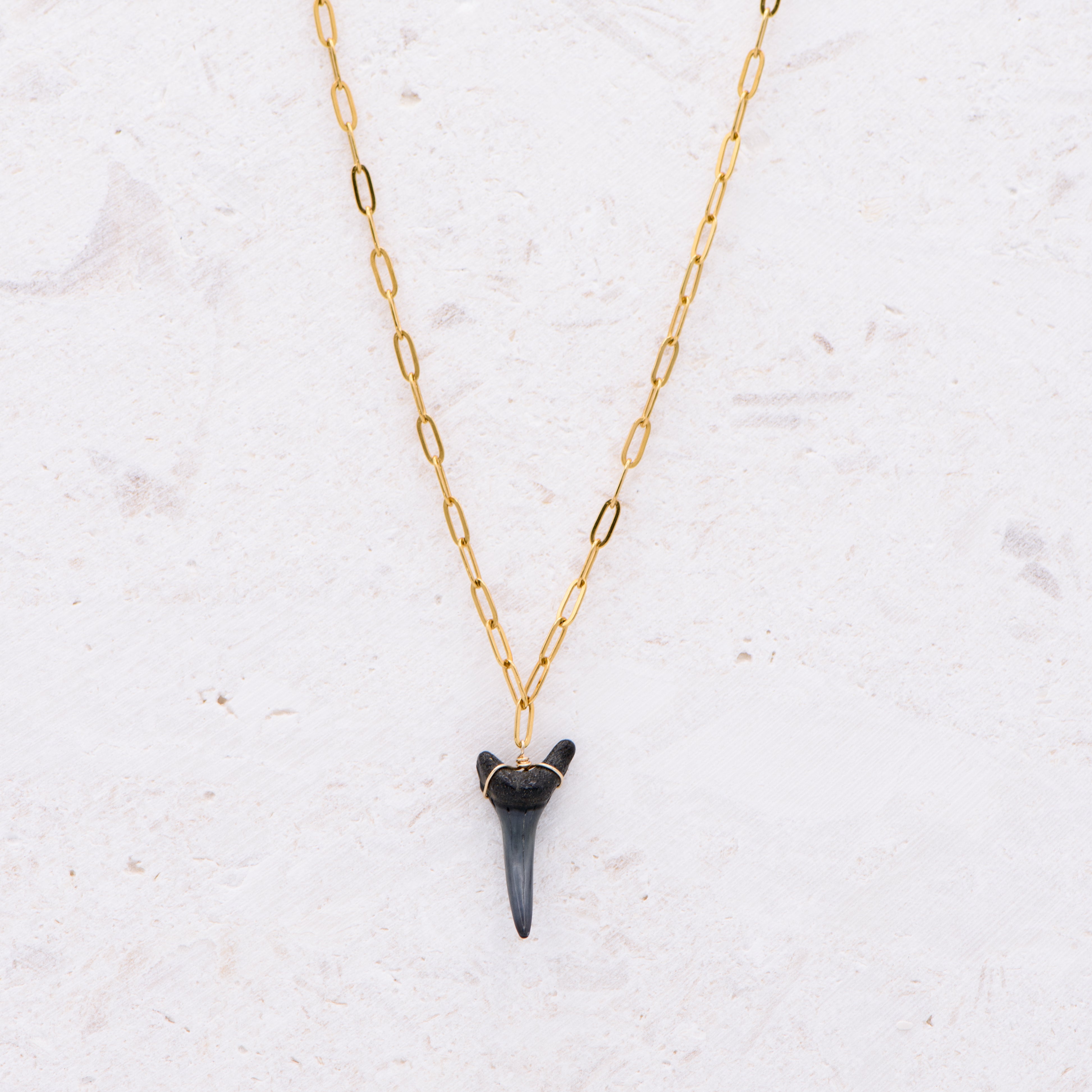 Shark Tooth 93 Necklace