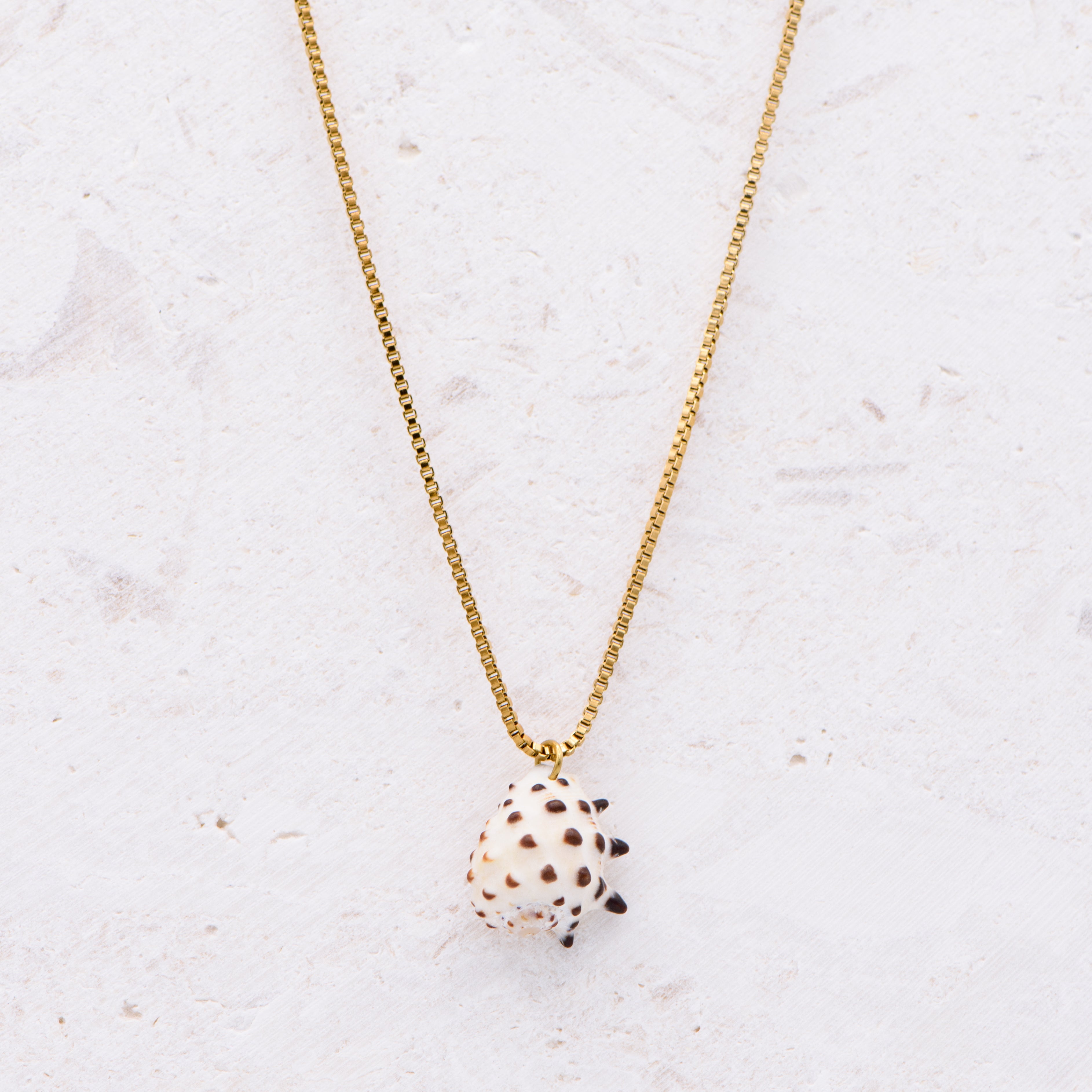 Drupe Shell Pendant Necklace