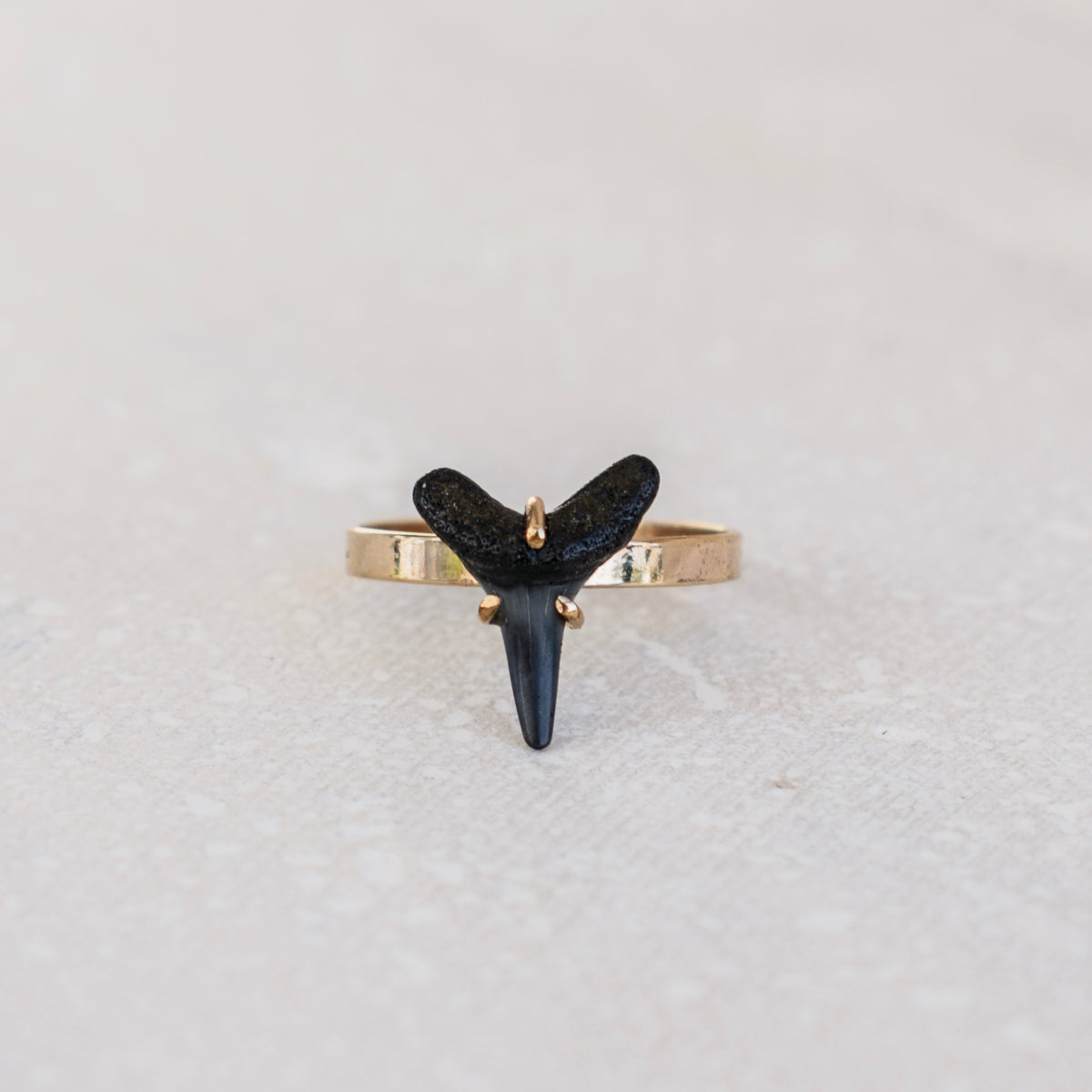 Shark Cove Ring