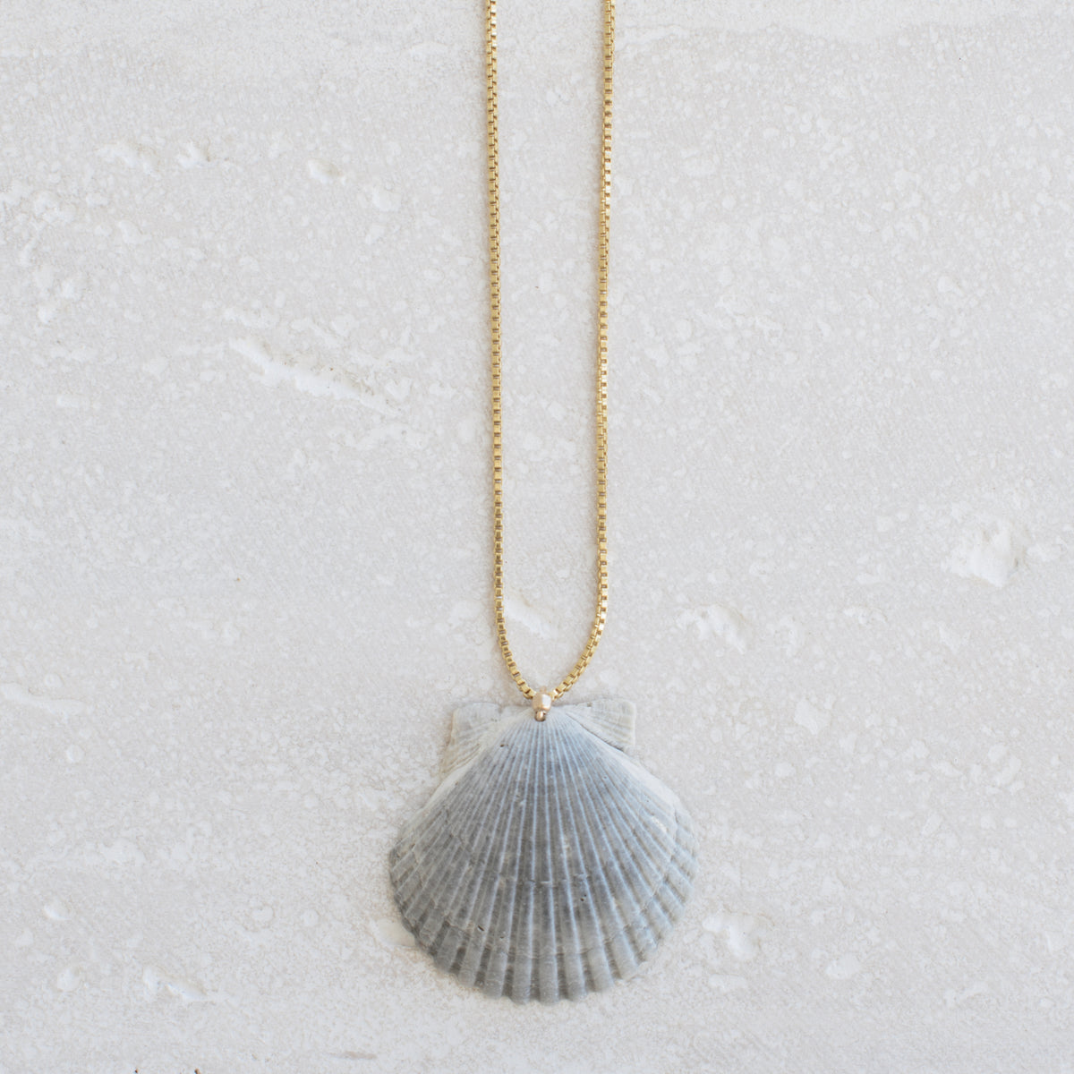 Moonrise Shell Necklace