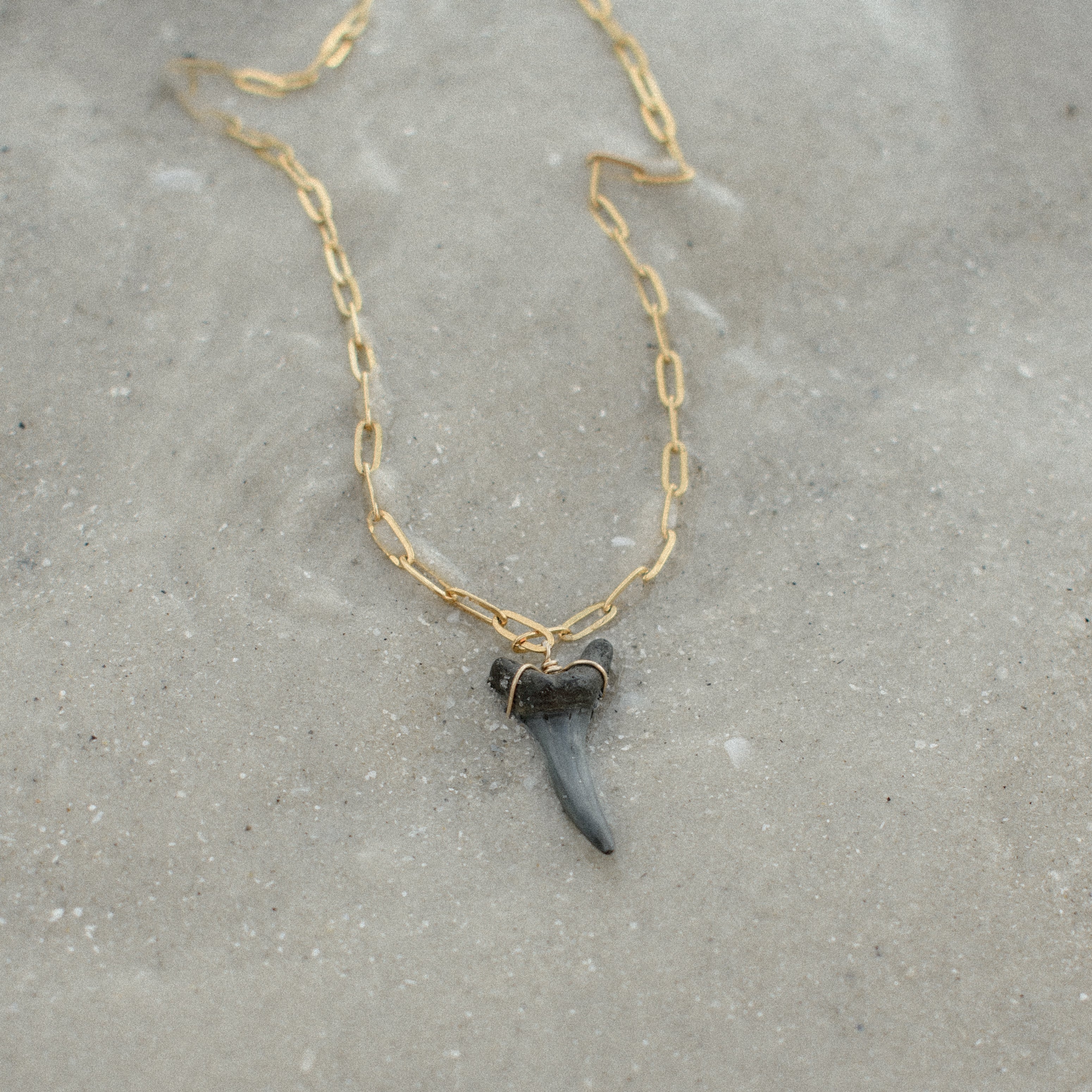 Shark Tooth 93 Necklace